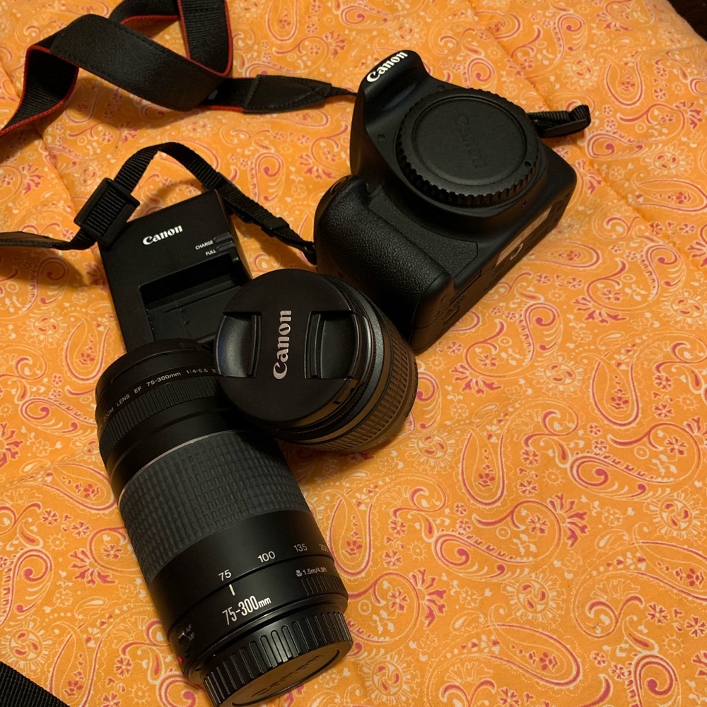 Canon Camera - image 1